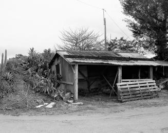 Expressions of Imagination - Employee Exhibit Art Exhibit