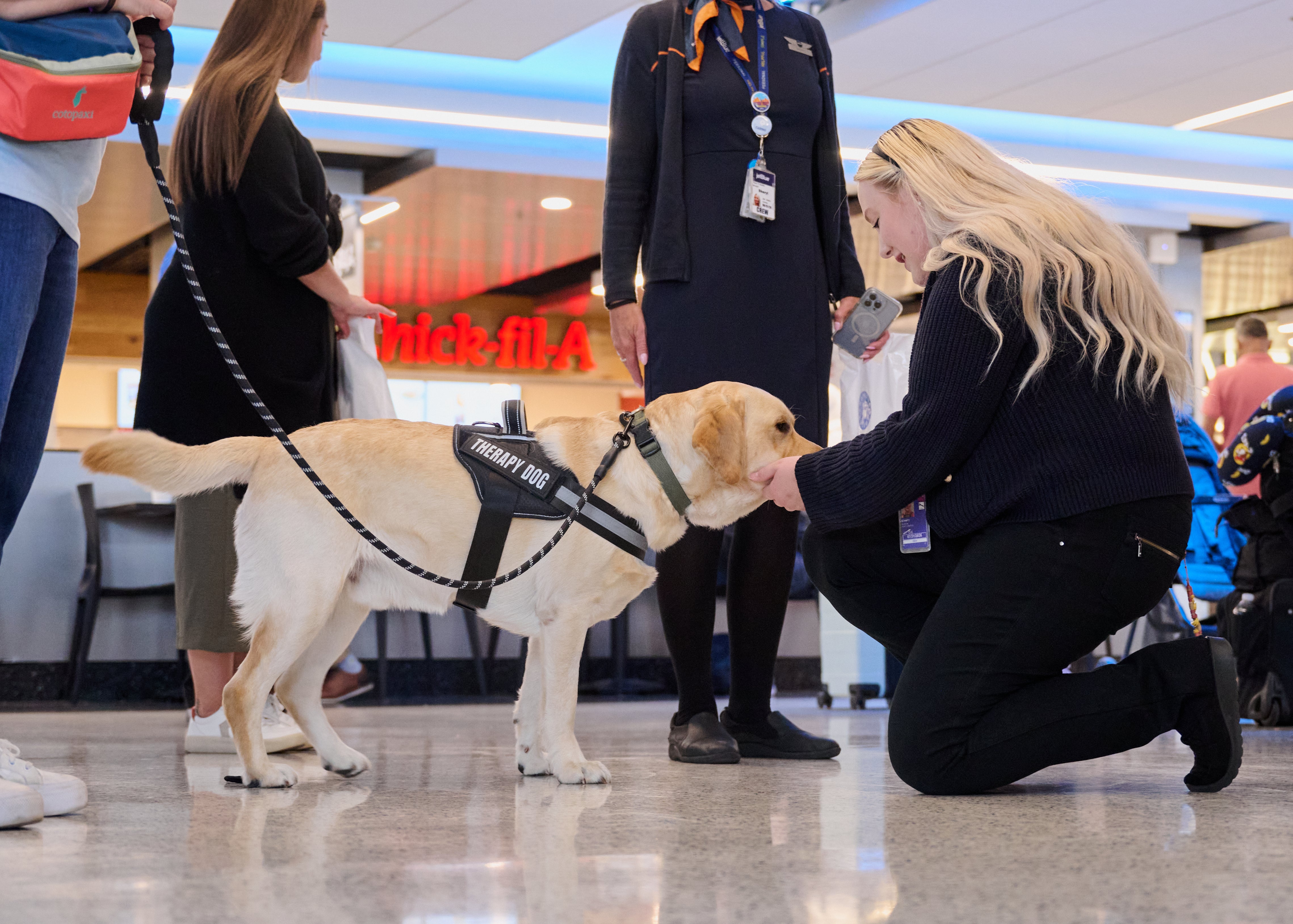 Employee interacting with a therapy dog