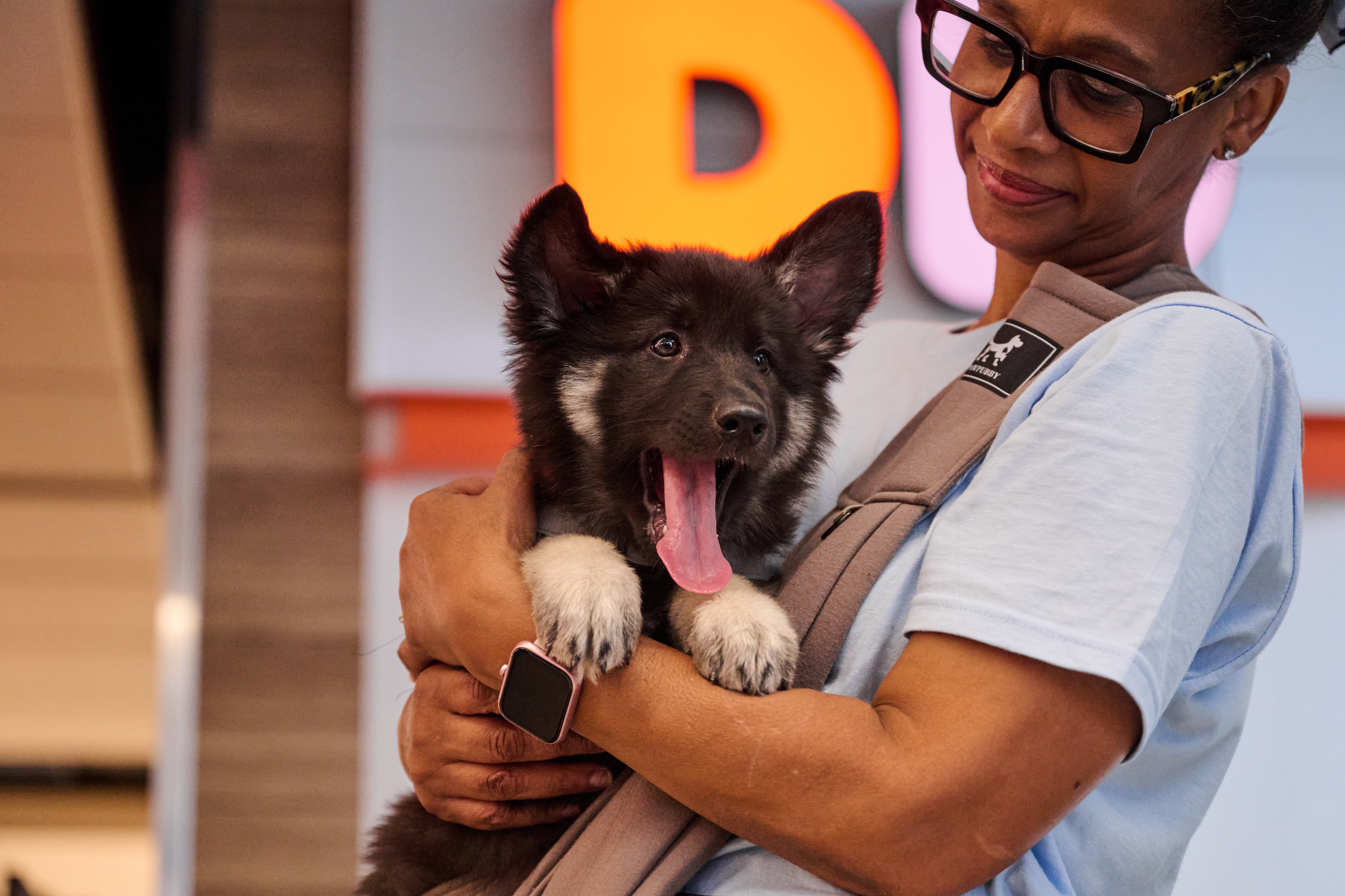 Therapy dog owner holding a puppy