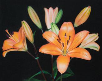 The Art of Realism Art Exhibit