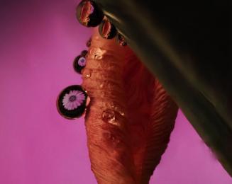 We Care- Let’s Take Care of Our Planet Art Exhibit